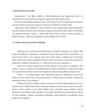 Valdymo proceso analizė  18 puslapis