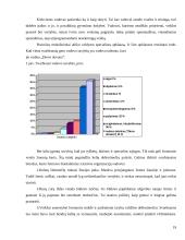 Valdymo proceso analizė  19 puslapis
