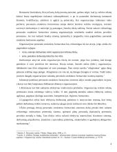 Valdymo proceso analizė  4 puslapis