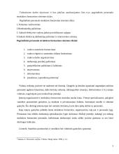 Valdymo proceso analizė  5 puslapis