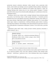 Valdymo proceso analizė  7 puslapis