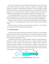Valdymo proceso analizė  10 puslapis