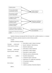 Išlaidų apskaitos sistemų pokyčiai 11 puslapis