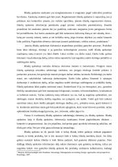 Išlaidų apskaitos sistemų pokyčiai 13 puslapis