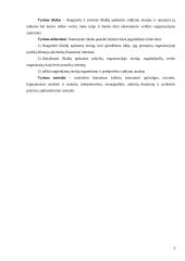 Išlaidų apskaitos sistemų pokyčiai 3 puslapis