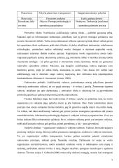 Išlaidų apskaitos sistemų pokyčiai 5 puslapis