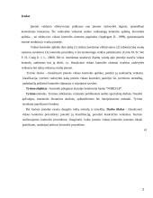 Kontrolingo sistemos diegimas įmonėje kursinis darbas 2 puslapis