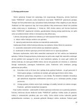 Kontrolingo sistemos diegimas įmonėje kursinis darbas 14 puslapis