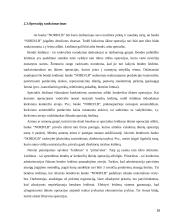 Kontrolingo sistemos diegimas įmonėje kursinis darbas 16 puslapis