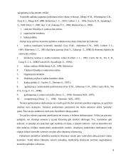 Kontrolingo sistemos diegimas įmonėje kursinis darbas 4 puslapis