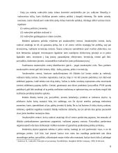 Kontrolingo sistemos diegimas įmonėje kursinis darbas 5 puslapis