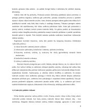 Kontrolingo sistemos diegimas įmonėje kursinis darbas 9 puslapis