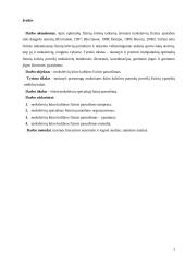 Mokymosi aplinka ir saugus elgesys kūno kultūros pamokose 2 puslapis