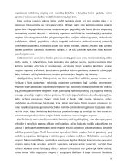 Mokymosi aplinka ir saugus elgesys kūno kultūros pamokose 18 puslapis