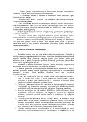 Etikos kodekso paskirtis, struktūra, funkcijos ir įgyvendinimo prielaidos 8 puslapis