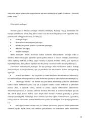 Elektroninė komercija ir nekilnojamas turtas 18 puslapis