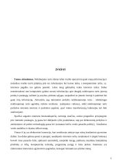 Elektroninė komercija ir nekilnojamas turtas 3 puslapis