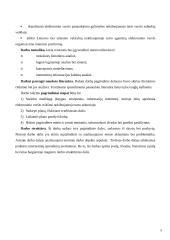 Elektroninė komercija ir nekilnojamas turtas 5 puslapis