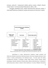 Informacinių technologijų panaudojimas viešojo sektoriaus institucijose 15 puslapis