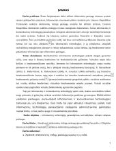 Informacinių technologijų panaudojimas viešojo sektoriaus institucijose 3 puslapis