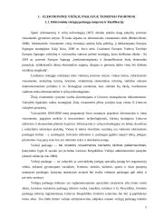 Informacinių technologijų panaudojimas viešojo sektoriaus institucijose 5 puslapis