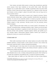 Prekės ženklo komunikacija 9 puslapis