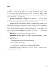 Suėmimas kaip procesinė prievartos priemonė 2 puslapis