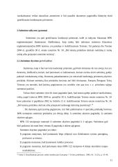 Suėmimas kaip procesinė prievartos priemonė 11 puslapis