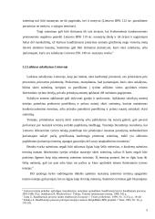 Suėmimas kaip procesinė prievartos priemonė 5 puslapis