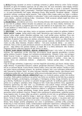 Skirtingų filosofijos temų teorija 1 puslapis