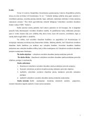 Valstybinio socialinio draudimo įmokų mokėjimo prievolė 2 puslapis