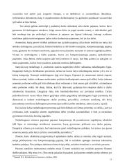 Valstybinio socialinio draudimo įmokų mokėjimo prievolė 13 puslapis