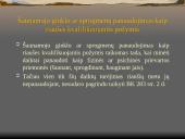 Nusikaltimai ir baudžiamieji nusižengimai viešajai tvarkai LR BK XL SKYRIUS  12 puslapis