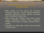 Nusikaltimai ir baudžiamieji nusižengimai viešajai tvarkai LR BK XL SKYRIUS  17 puslapis