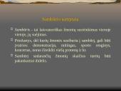 Nusikaltimai ir baudžiamieji nusižengimai viešajai tvarkai LR BK XL SKYRIUS  5 puslapis