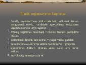 Nusikaltimai ir baudžiamieji nusižengimai viešajai tvarkai LR BK XL SKYRIUS  7 puslapis