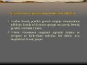 Nusikaltimai visuomenės saugumui LR BK XXXV SKYRIUS  2 puslapis