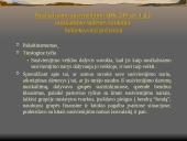 Nusikaltimai visuomenės saugumui LR BK XXXV SKYRIUS  11 puslapis