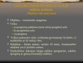 Nusikaltimai visuomenės saugumui LR BK XXXV SKYRIUS  16 puslapis