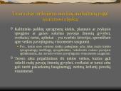 Nusikaltimai visuomenės saugumui LR BK XXXV SKYRIUS  17 puslapis