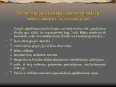 Nusikaltimai visuomenės saugumui LR BK XXXV SKYRIUS  7 puslapis