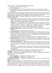 Nusikaltimai valstybės tarnybai 2 puslapis