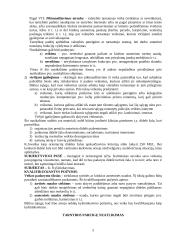 Nusikaltimai valstybės tarnybai 5 puslapis