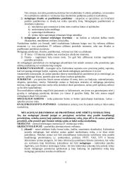 Nusikaltimai ir baudžiamieji nusižengimai teisingumui 3 puslapis