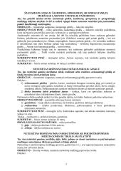 Neteisėtas disponavimas šaunamaisiais ginklais, šaudmenimis, sprogmenimis ar sprogstamosiomis medžiagomis 2 puslapis