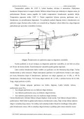 Aplinkosauginis technologinio proceso vertinimas ir siūlymai jį gerinti 19 puslapis