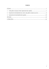 Tarpinstitucinio bendradarbiavimo aspektai vaiko globos nustatymo procese 2 puslapis