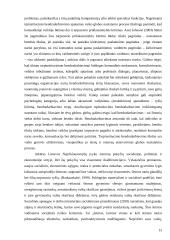 Tarpinstitucinio bendradarbiavimo aspektai vaiko globos nustatymo procese 13 puslapis