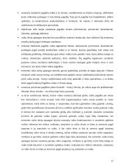 Tarpinstitucinio bendradarbiavimo aspektai vaiko globos nustatymo procese 17 puslapis