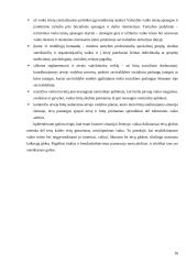 Tarpinstitucinio bendradarbiavimo aspektai vaiko globos nustatymo procese 18 puslapis